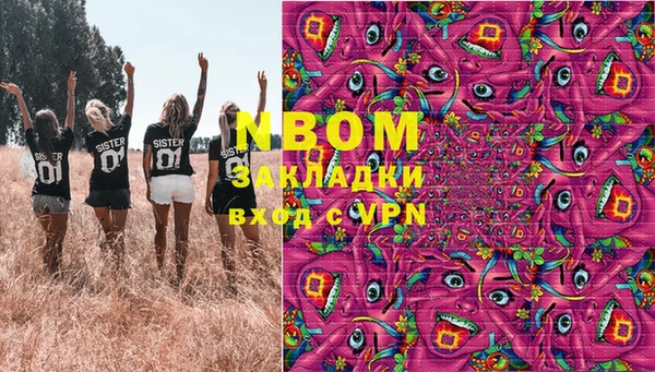 индика Алзамай