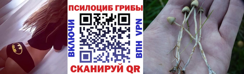 купить  сайты  Гуково  Псилоцибиновые грибы мицелий 